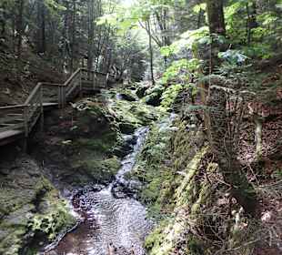 Unberührte Natur am Weg zum Dickson-Wasserfall
