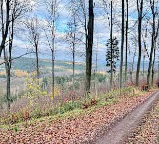 Wandern Friedrichroda