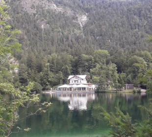 Thumsee