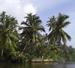 Natur pur, Bentota Fluß