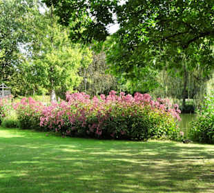 Rundgang durch den Edgar-Deichmann-Park