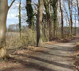 Wandern Templin
