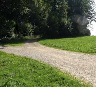 Waldlehrpfad St. Johann