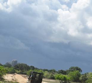 Safari Yala