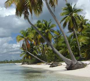 Ausflug auf die Insel Saona, ein Traum!