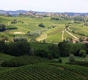 Weingut Cordero di Montezemolo