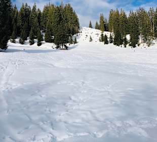 Wandern Balderschwang