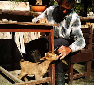 Landgasthof Rancho la Romana