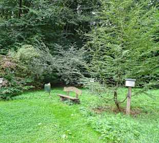 Rundgang durch das Arboretum in Wildeshausen