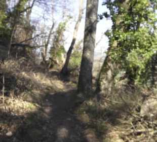 Wanderweg zur Achalm
