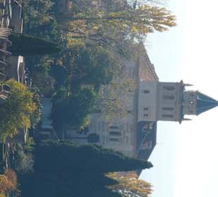 Dettaglio del giardino