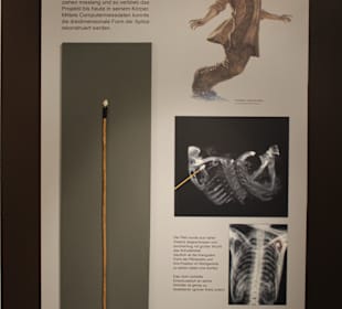 Meuchelmord in den Ötztaler Alpen