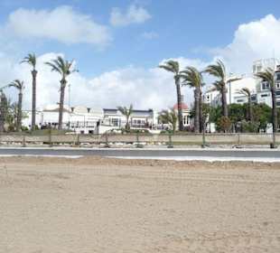 Perissia