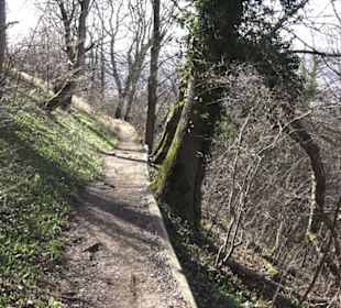 Wanderweg zur Achalm