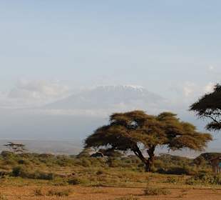 Kili nahe dem Kibo Safari Camp