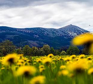 Karkonoski Park Narodowy