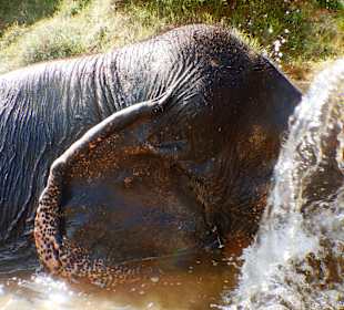 Khao Lak-Lam Ru National Park