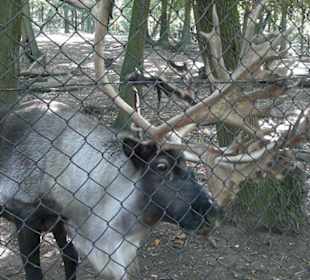 Zoo Brno