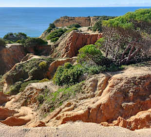 Seven Hanging Valleys Trail 