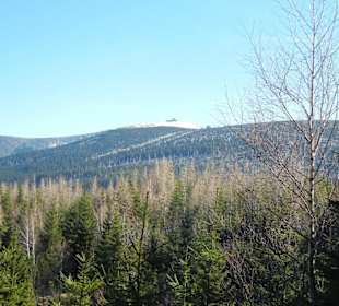 Schneekope/Śnieżka