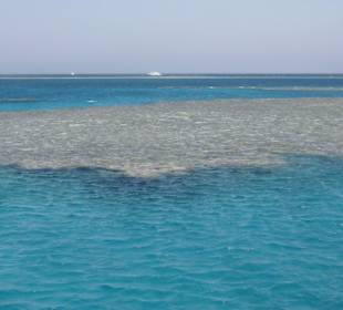 Korallenriff auf offenem Meer