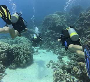 Tauchtour am Tauchplatz Abu Ramada