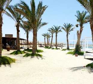 Abou Dabab (Marsa Alam)