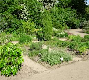 Der Bremer Botanische Garten im Mai