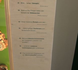 Museum Natur und Mensch