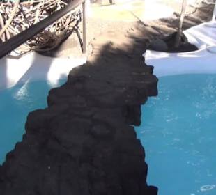 Fundacion Cesar Manrique