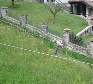 Hier wird noch mit Hand gemäht