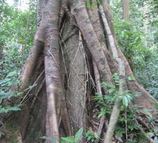 Freut euch auf eine einzigartige Tour mit Peter!
