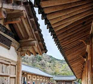 Gayasan-Nationalpark