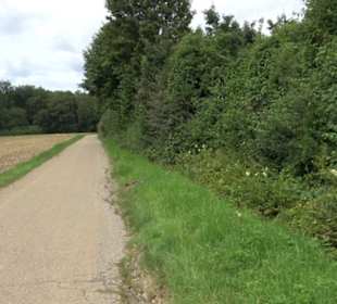 Themenweg Kaiserweg Zimmern