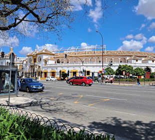 Plaza de Toros de La Maestranza (Stierkampfarena) 