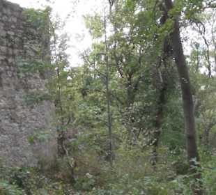 Wanderweg zur Achalm