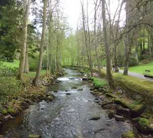 Im Kurpark Bad Wildbad