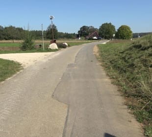 Elsachstadt Tor F Burrenhof Erkenbrechtsweiler