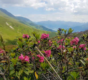 Wandern in Serfaus-Fiss-Ladis 