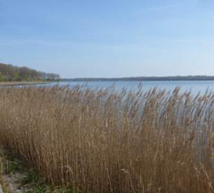 Priwall-Wanderung entlang der Trave