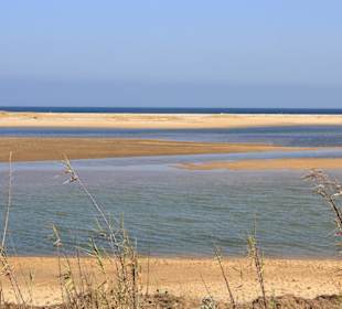 Blick in das Naturschutzgebiet