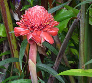 Tropical River Tour  – Oktober 2014