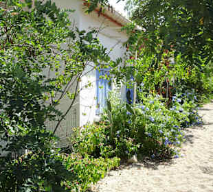 Impressionen aus Le Racou