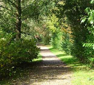 Rundgang um den Drielaker See