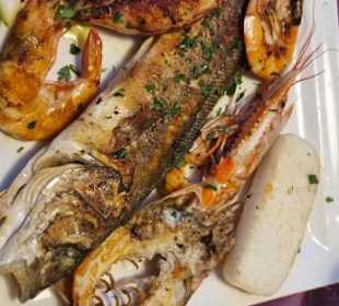 Fischauswahl genommen