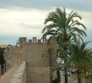 Auf der Festungsmauer der Altstadt