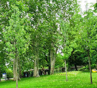 Parkanlage beim Campus
