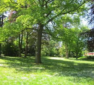 Altstadt Landau Goethepark