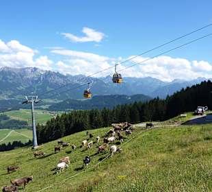 Mit der Hörnerbahn in eines der Ski-/Wandergebiete