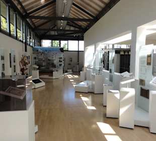 Impressionen der Ausstellung